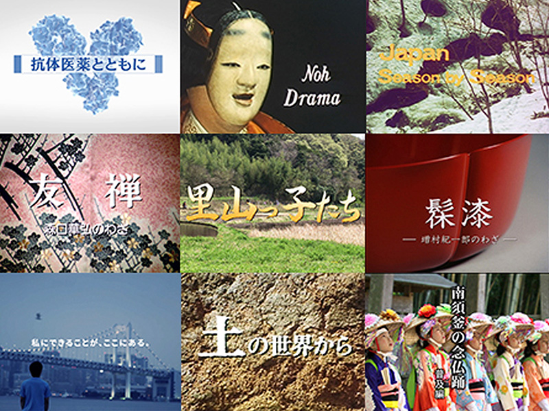 桜映画の仕事